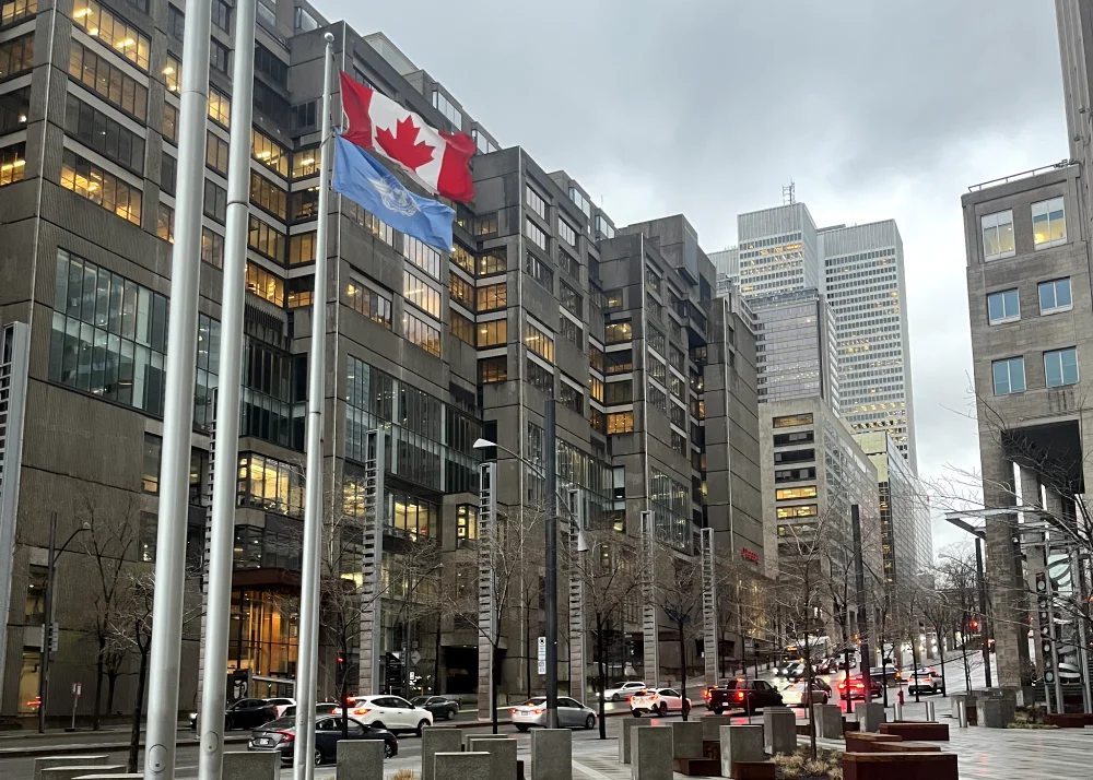 Stage de fin d'étude à Montréal